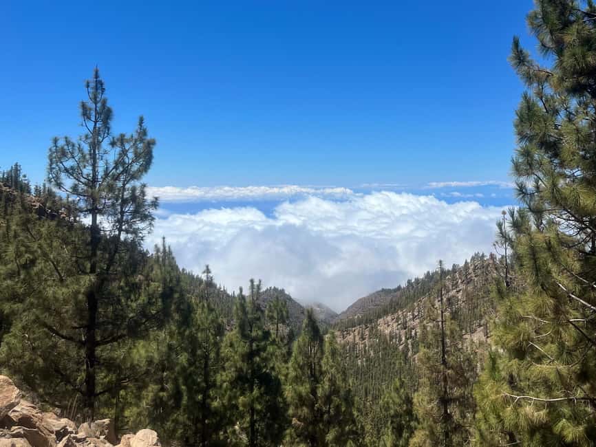 Private Teide & Secret Volcanoes – Tenerife Tour with a German Guide (6h) - Key points before you book