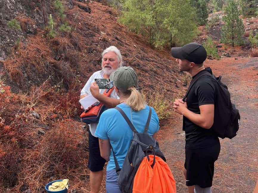 Private Teide & Secret Volcanoes – Tenerife Tour with a German Guide (6h) - Who gets the most value from this tour?
