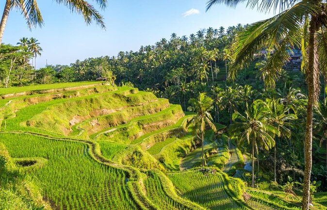 Private Tour: Bali Volcano with Jungle Swing Experience - Key points to know before booking