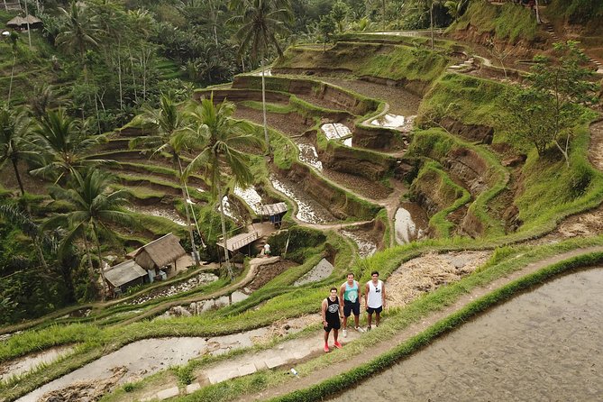 Private Tour: Bali Volcano with Jungle Swing Experience - Tegenungan Waterfall closes the day