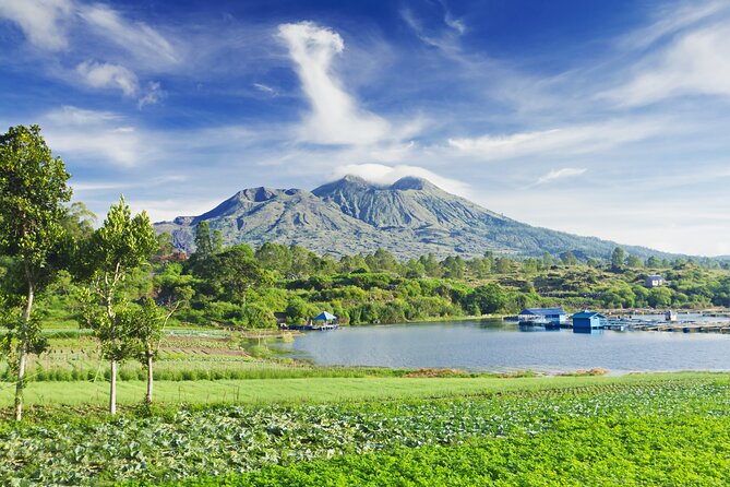 Private Tour: Bali Volcano with Jungle Swing Experience - The d’Alas Swing and its jungle views