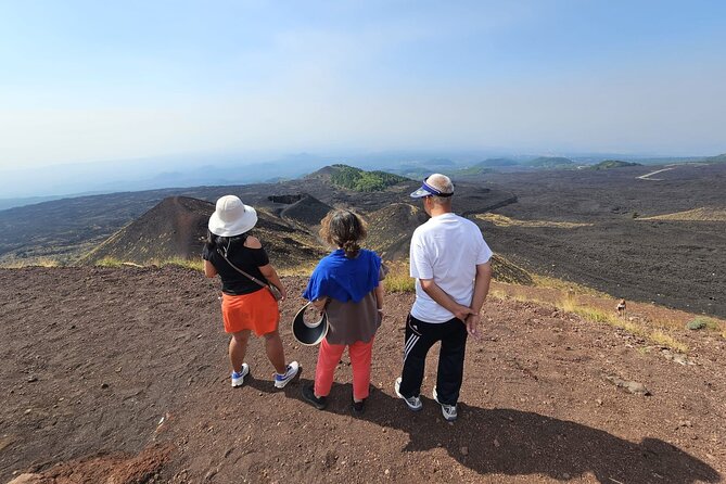 Private Tour Etna and Taormina from Catania - What the private vehicle adds