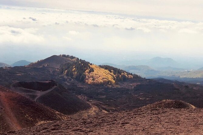 Private Tour Etna and Taormina from Catania - Reaching Etna at 2,000 meters
