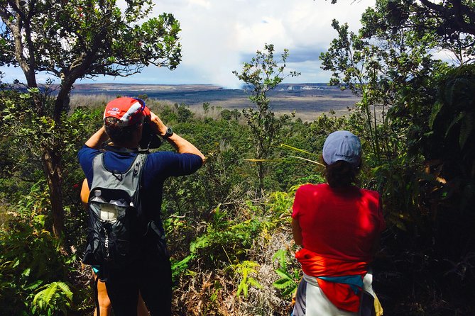 Private Tour: Hawaii Volcanoes National Park Eco Tour - Starting at Volcano House and the crater rim