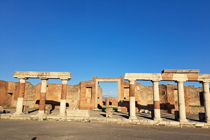 Private Tour in Pompeii and Vesuvius - Winery food, volcanic soil, and unclear extras