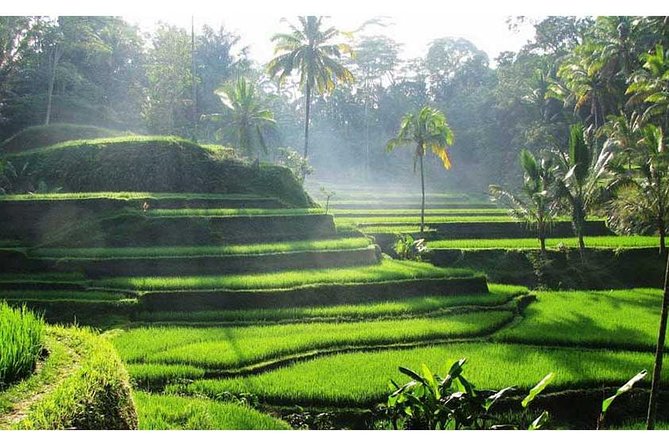 Private Tour:Kintamani Volcano Tour With Entrance Ticket & Hotel Transfer - Celuk Village: two hours among gold and silver workshops