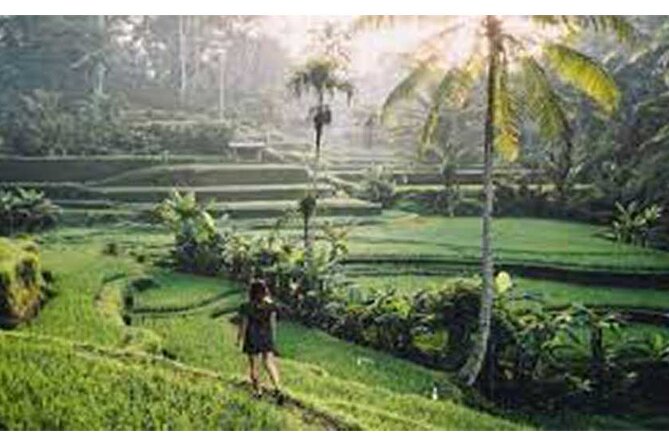 Private Tour:Kintamani Volcano Tour With Entrance Ticket & Hotel Transfer - Tegalalang Rice Terrace: a final walk through Bali’s farming country