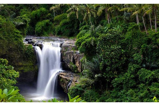 Private Tour:Kintamani Volcano Tour With Entrance Ticket & Hotel Transfer - How the private car changes the day