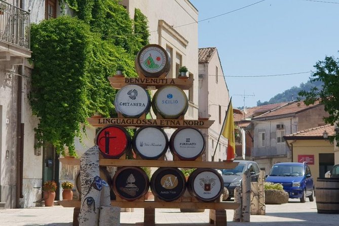 Private tour of Etna and Winery Visit with Food and Wine Tasting from Taormina - Who should book this Etna tour?