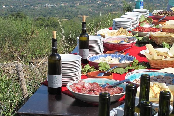Private tour of Etna and Winery Visit with Food and Wine Tasting from Taormina - Zafferana Etnea and the taste of volcanic agriculture