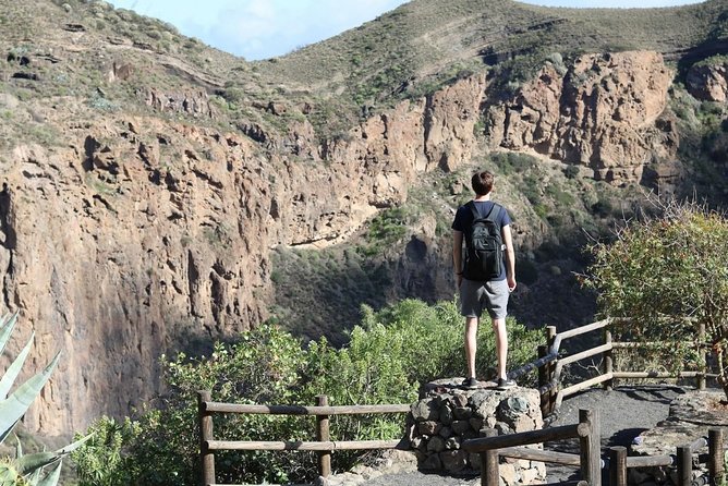 Private Tour of Gran Canaria Volcano and Canary Wine tasting - Wine and tapas among volcanic soil