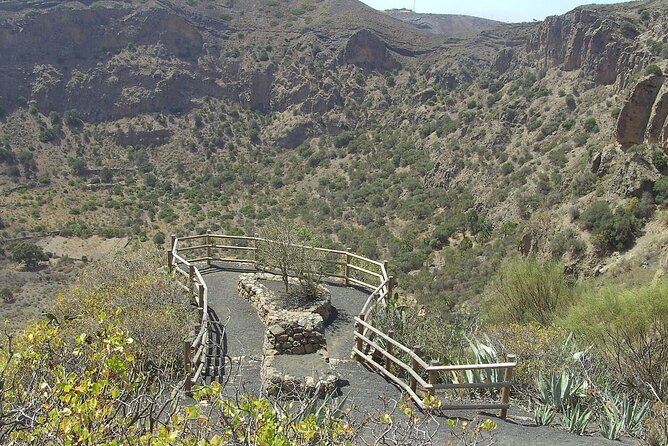 Private Tour of Gran Canaria Volcano and Canary Wine tasting - Starting from Las Palmas or the cruise port