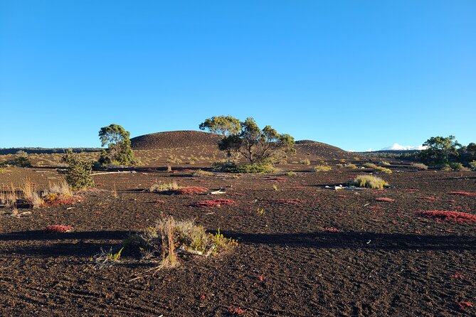 Private Tour of Hawaii Volcanoes National Park - Families, couples, and cruise passengers