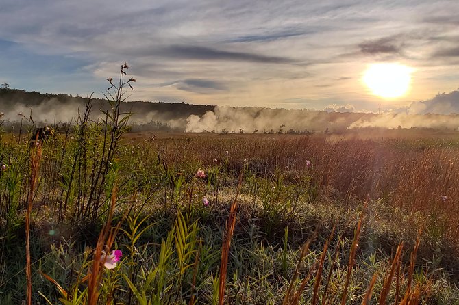 Private Tour of Hawaii Volcanoes National Park - Timing, conditions, and what to bring