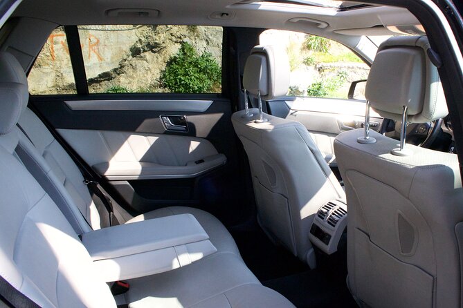 Private tour of Pompeii and Vesuvius from Sorrento or Naples - A day shaped by the driver