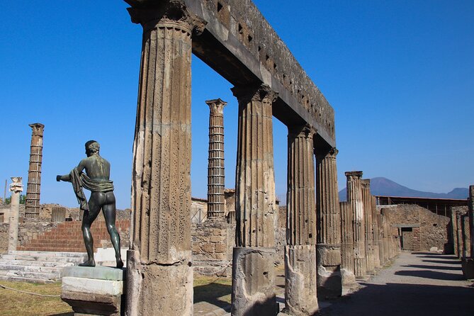 Private tour of Pompeii and Vesuvius from Sorrento or Naples - Who should book this Pompeii day trip
