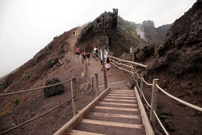 Private Tour of Pompeii, Herculaneum and Vesuvius from Naples - A driver service, not an automatic guided tour