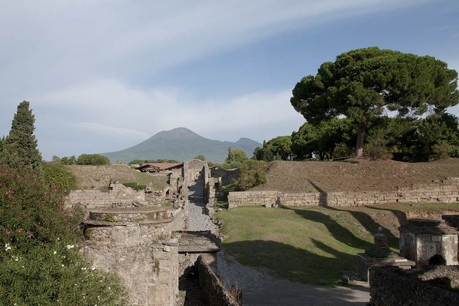 Private tour Pompeii Vesuvius and Winery from Sorrento - Coastal Views Before Pompeii
