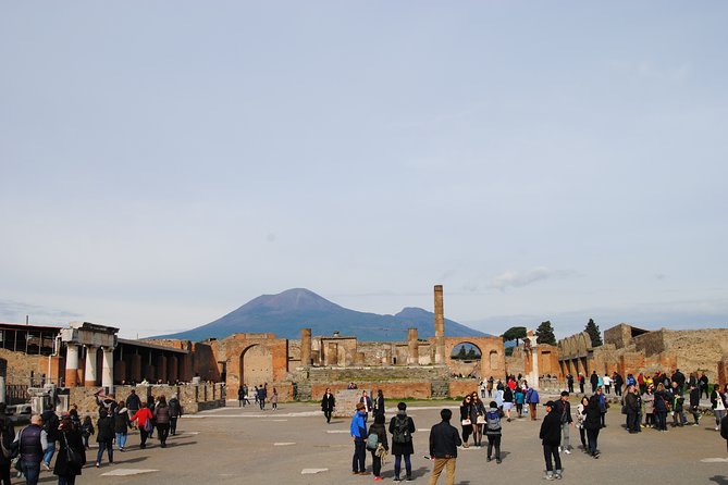 Private tour Pompeii Vesuvius and Winery from Sorrento - Drivers Who Add More Than Transportation
