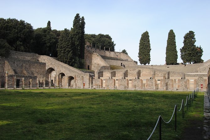 Private tour Pompeii Vesuvius and Winery from Sorrento - Who Should Book This Tour