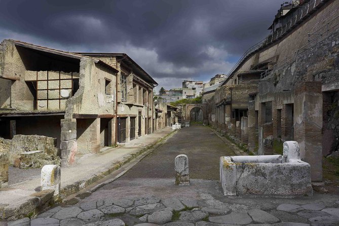 Private tour Pompeii Vesuvius and Winery from Sorrento - Pompeii in Two Hours