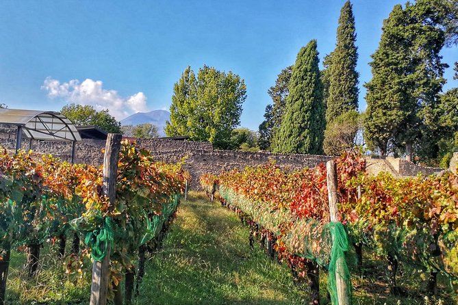 Private Tour: Pompeii & Wine Tasting at the Slopes of Mt Vesuvius - Why Pompeii and wine work so well together