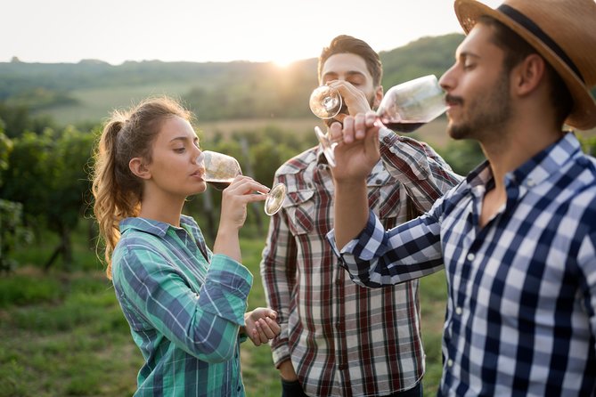 Private Tour: Pompeii & Wine Tasting at the Slopes of Mt Vesuvius - Is seven hours enough for the day?