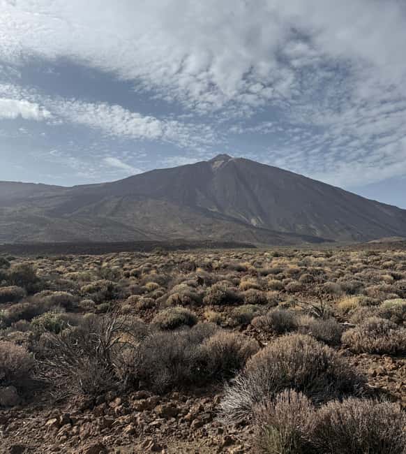 Private tour Tenerife: Teide National Park + Restaurant - Roque de García at 2,100 meters