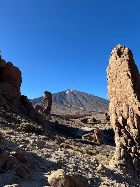 Private tour Tenerife: Teide National Park + Restaurant - Is $123 per person good value?