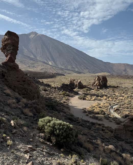 Private tour Tenerife: Teide National Park + Restaurant - From Playa de las Américas to the high country