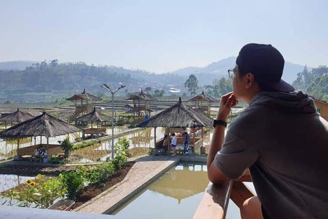 Private Tour to Bandung Volcano Hot Springs and Mud bathing - Patenggang Lake and a lighter afternoon