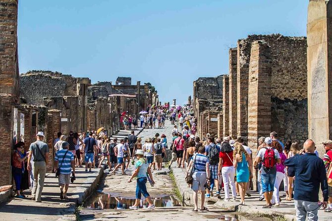 Private tour to Pompeii Herculaneum and Vesuvius - Lunch, language, and private pacing
