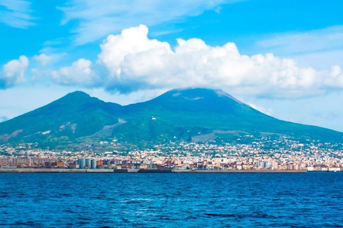 Private tour to Pompeii Herculaneum and Vesuvius - Who should book this day