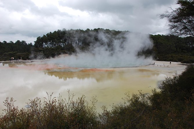 Private Tour Waiotapu Geothermal Shore Excursion up to 8 passengers - The Redwood Forest and Whakarewarewa