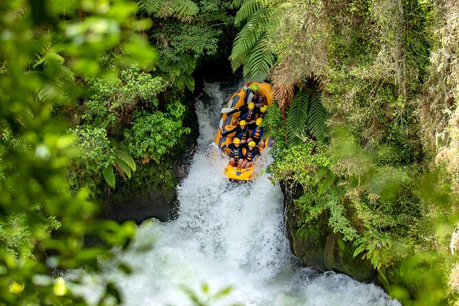 Private Tour Waiotapu Geothermal Shore Excursion up to 8 passengers - Price, Group Size, and Real Value
