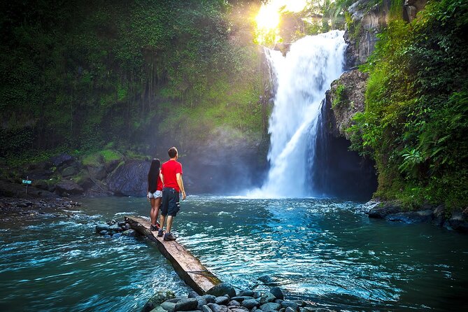 Private Tour: Waterfall, Kintamani Volcano, Ubud Tour with Lunch - Key points to know before booking