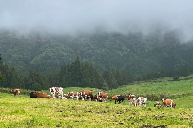 Private Van Tour Half Day Volcanic Lake Sete Cidades - Boca do Inferno is the main scenic payoff
