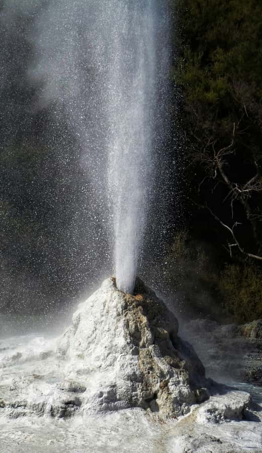 Private VIP Luxury Auckland - Rotorua Geothermal Wonderlands - Who will enjoy this Auckland day trip?