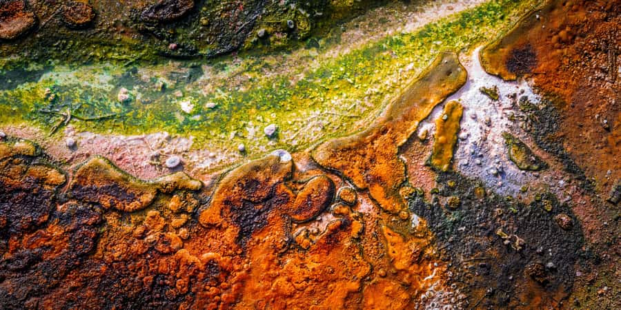 Private VIP Luxury Auckland - Rotorua Geothermal Wonderlands - Practical details before you book