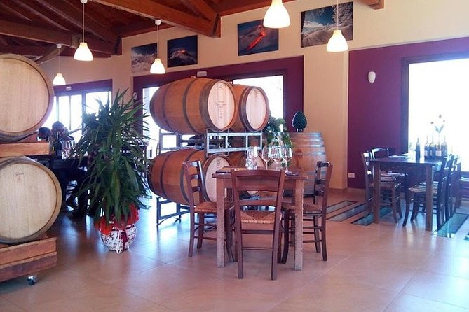 Private visit to the cellars of Etna with wine tasting - Is $220.02 a fair price?