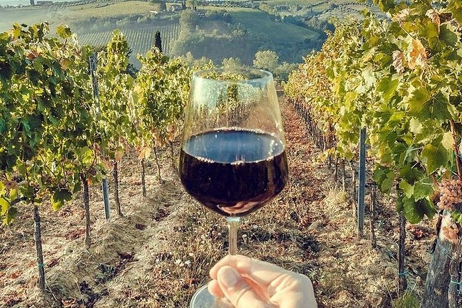 Private visit to the cellars of Etna with wine tasting - Who should book this Etna outing?