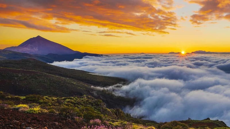Puerto Cruz: VIP Teide Sunset & Stars, Guachiche Lunch+Cava - Viewpoints on the climb to Teide