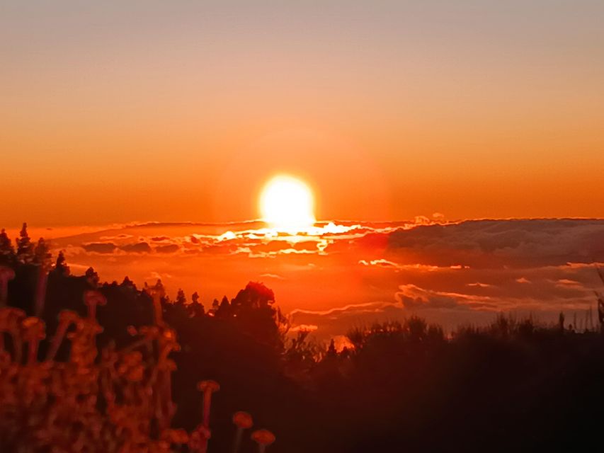Puerto Cruz: VIP Teide Sunset & Stars, Guachiche Lunch+Cava - Sunset at Mirador El Retamar