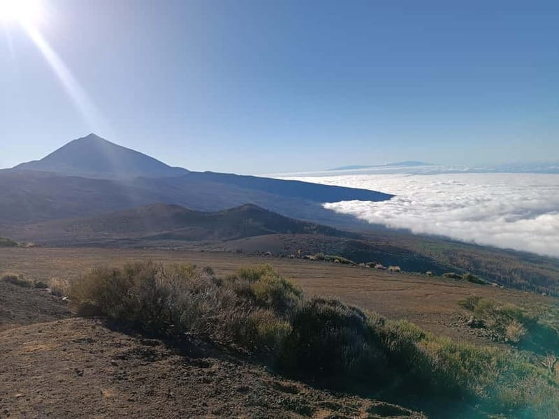 Puerto Cruz: VIP Teide Sunset & Stars, Guachiche Lunch+Cava - Stargazing under the Teide sky