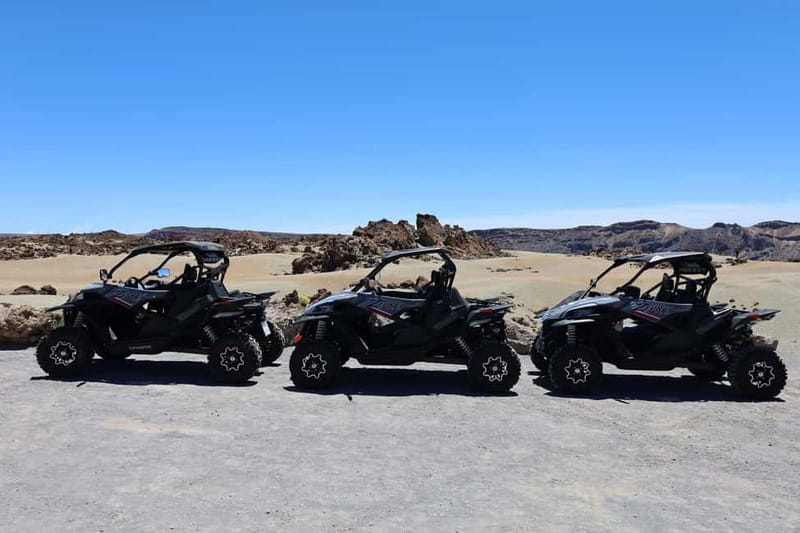 Puerto de la Cruz: Teide National Park Buggy Tour - Key points to know before booking