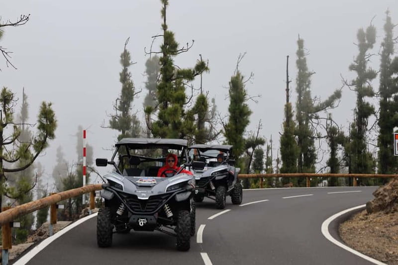 Puerto de la Cruz: Teide National Park Buggy Tour - Ramon Caminero offers a useful pause