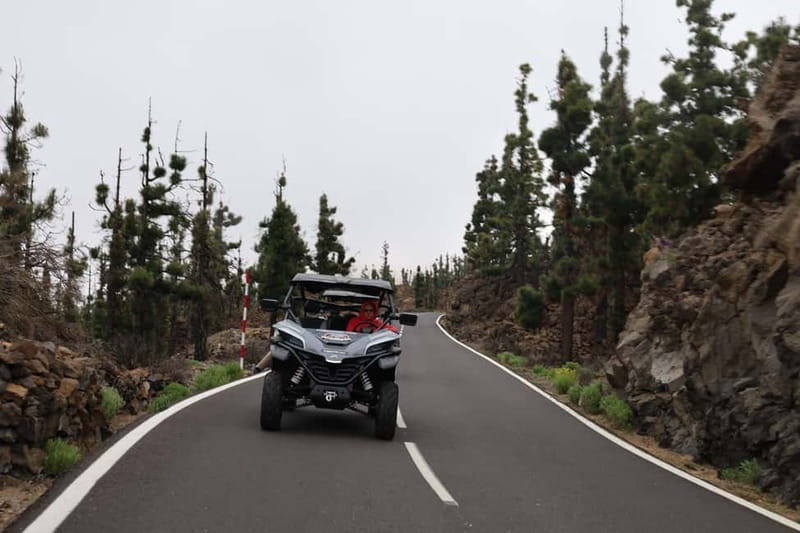Puerto de la Cruz: Teide National Park Buggy Tour - Weather, comfort, and what to pack