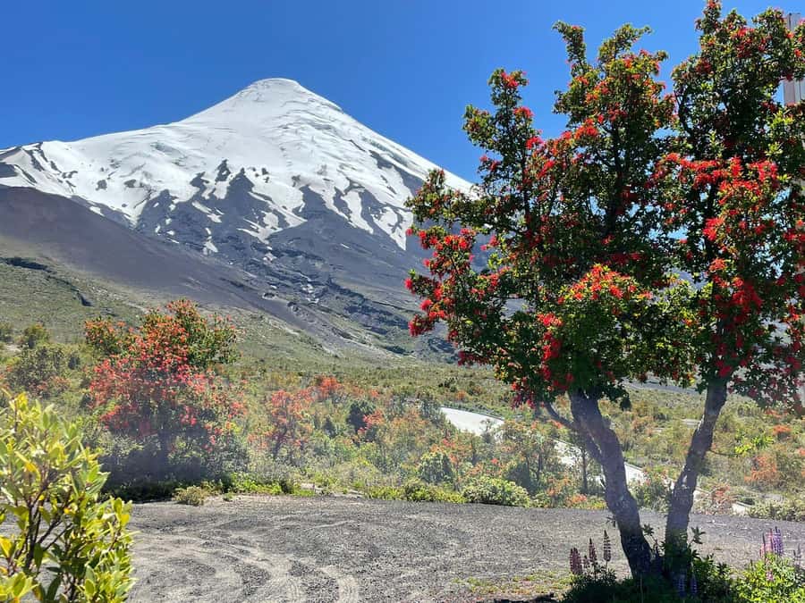Puerto Montt: Osorno Volcano Tour Shore Tour in Private - Why this six-hour route works well from a cruise ship