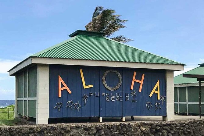 Punalu’u Black Sand Beach Tour - Volcanoes National Park & Hilo - Why this Big Island day works