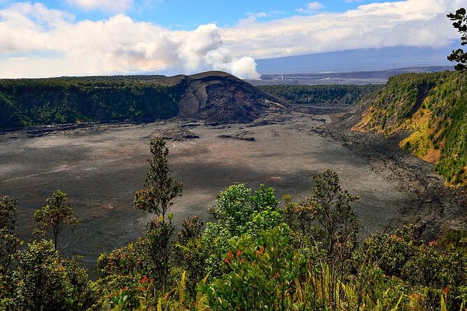 Punalu’u Black Sand Beach Tour - Volcanoes National Park & Hilo - Who should book this tour